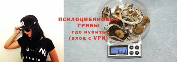 соль ск Аркадак