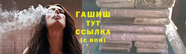 индика Алзамай