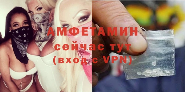 индика Алзамай