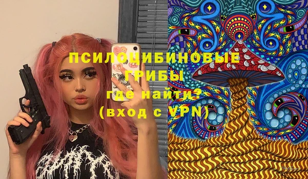 соль ск Аркадак