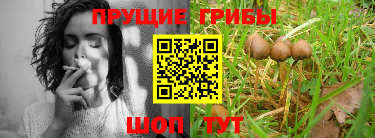 Псилоцибиновые грибы прущие грибы Ревда